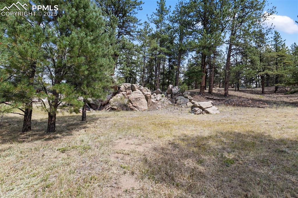 272 Spring Valley Trail Florissant CO 80816