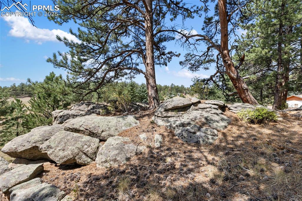 272 Spring Valley Trail Florissant CO 80816