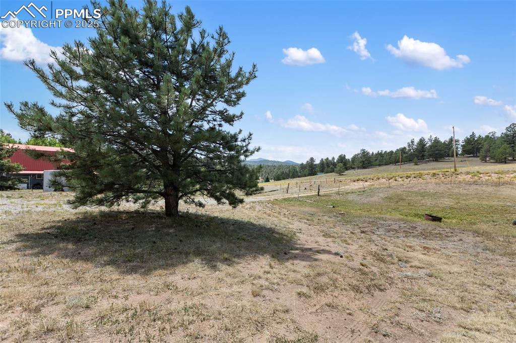272 Spring Valley Trail Florissant CO 80816