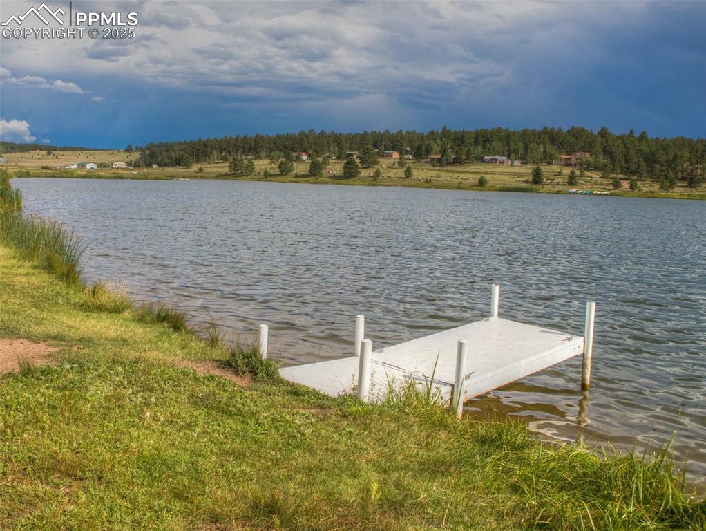 272 Spring Valley Trail Florissant CO 80816