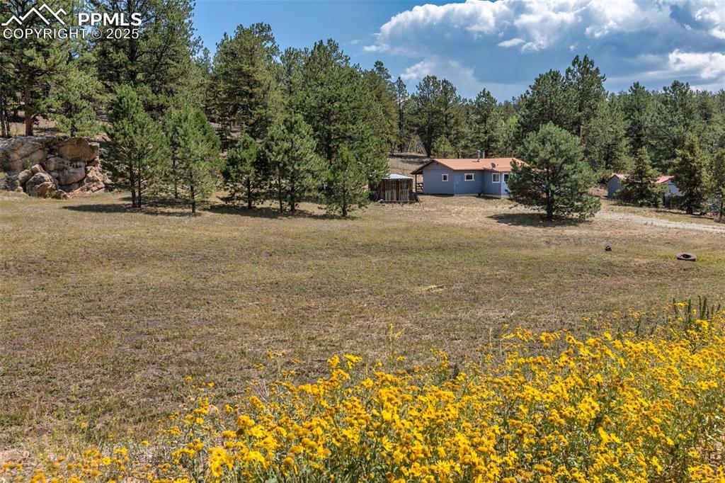 272 Spring Valley Trail Florissant CO 80816