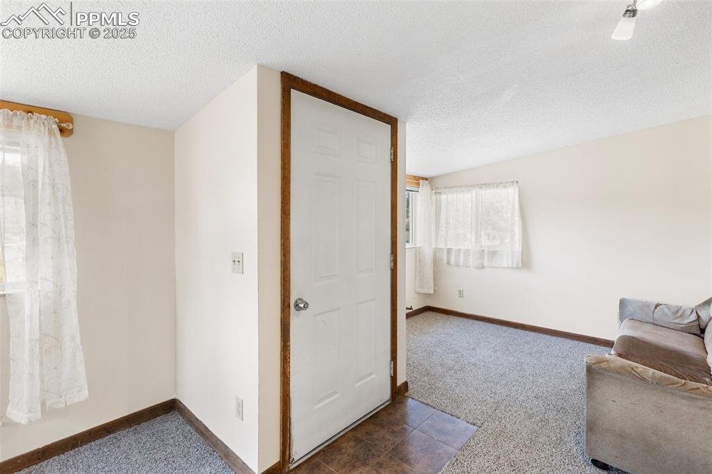 272 Spring Valley Trail Florissant CO 80816