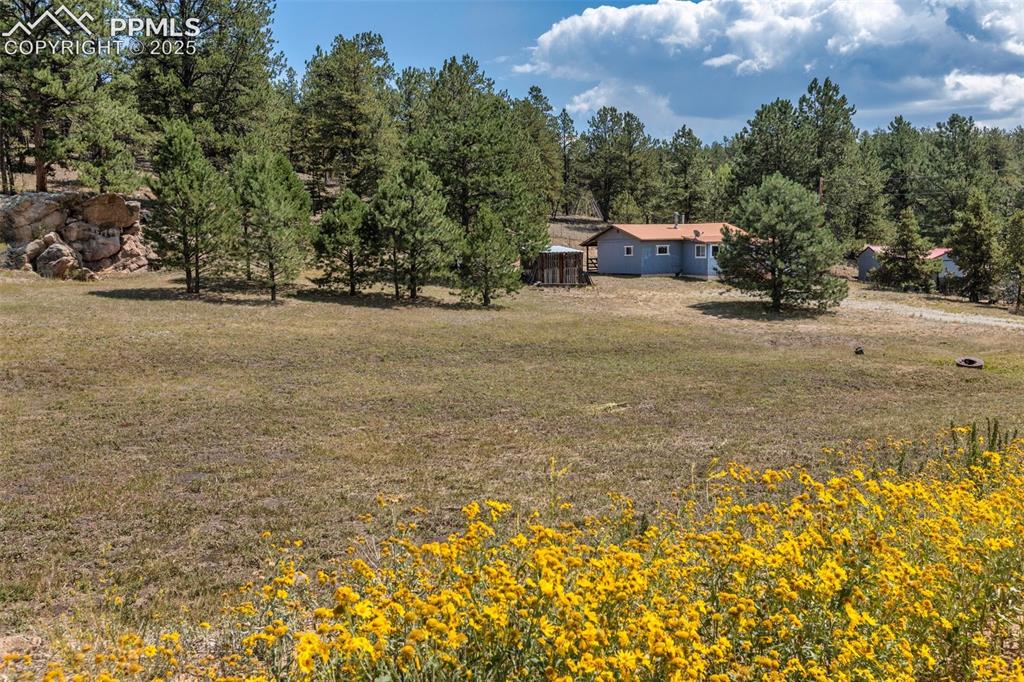 272 Spring Valley Trail Florissant CO 80816
