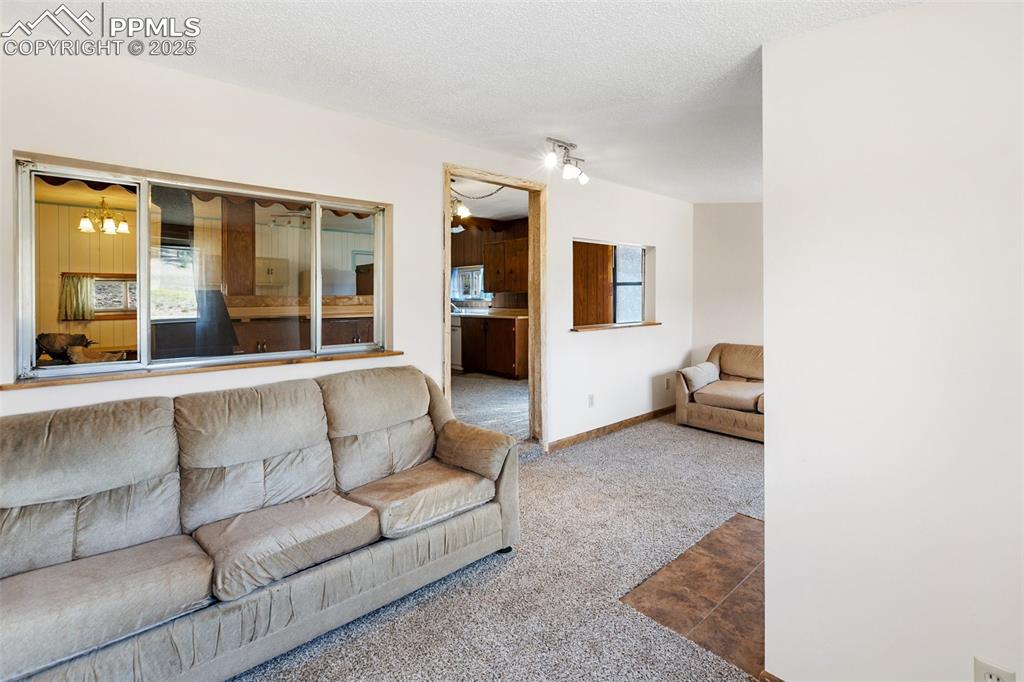 272 Spring Valley Trail Florissant CO 80816