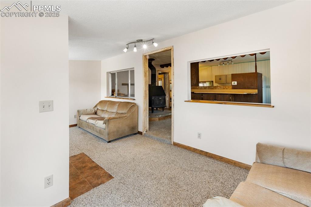 272 Spring Valley Trail Florissant CO 80816