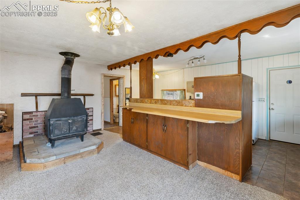 272 Spring Valley Trail Florissant CO 80816