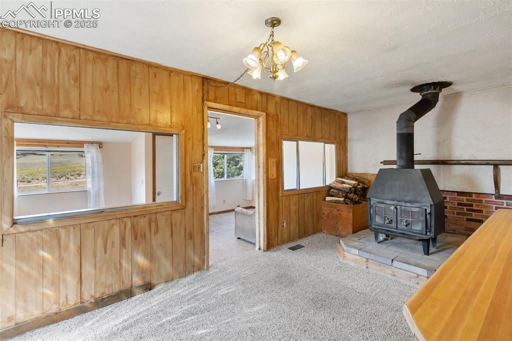 272 Spring Valley Trail Florissant CO 80816