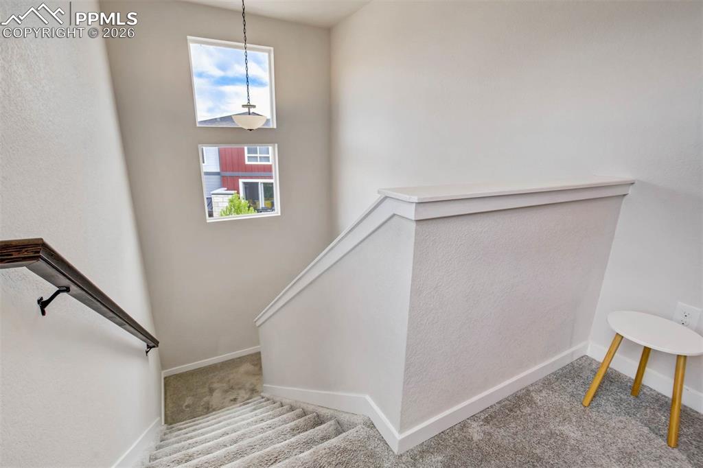 7237 Treebrook Lane Colorado Springs CO 80918
