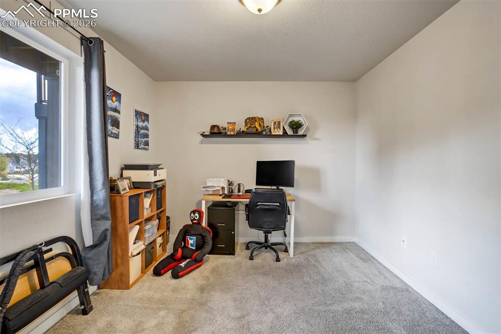 7237 Treebrook Lane Colorado Springs CO 80918