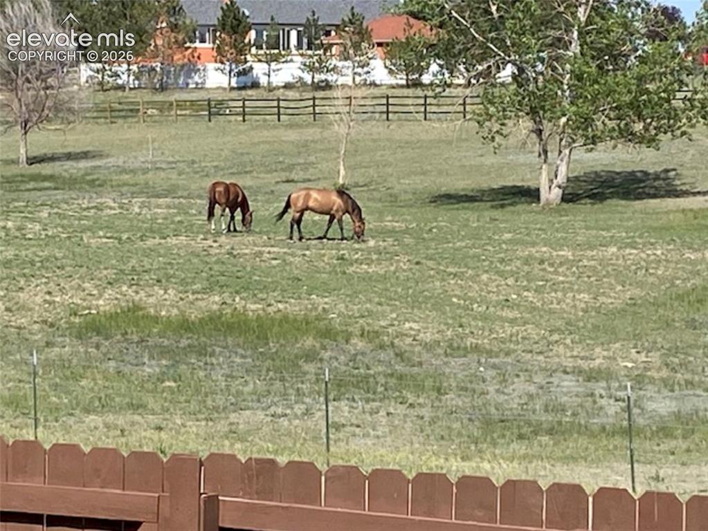 7831 Barraport Drive Colorado Springs CO 80908