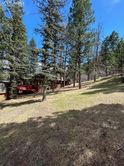 10825 Hondo Avenue Green Mountain Falls CO 80819