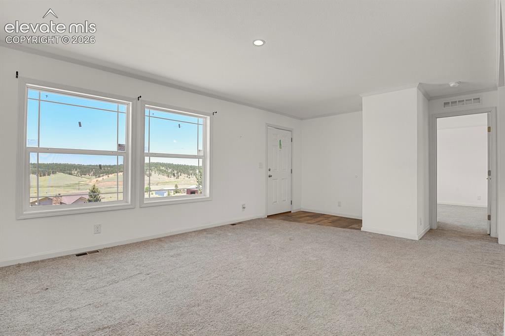 58 Elfin Glen Drive Divide CO 80814