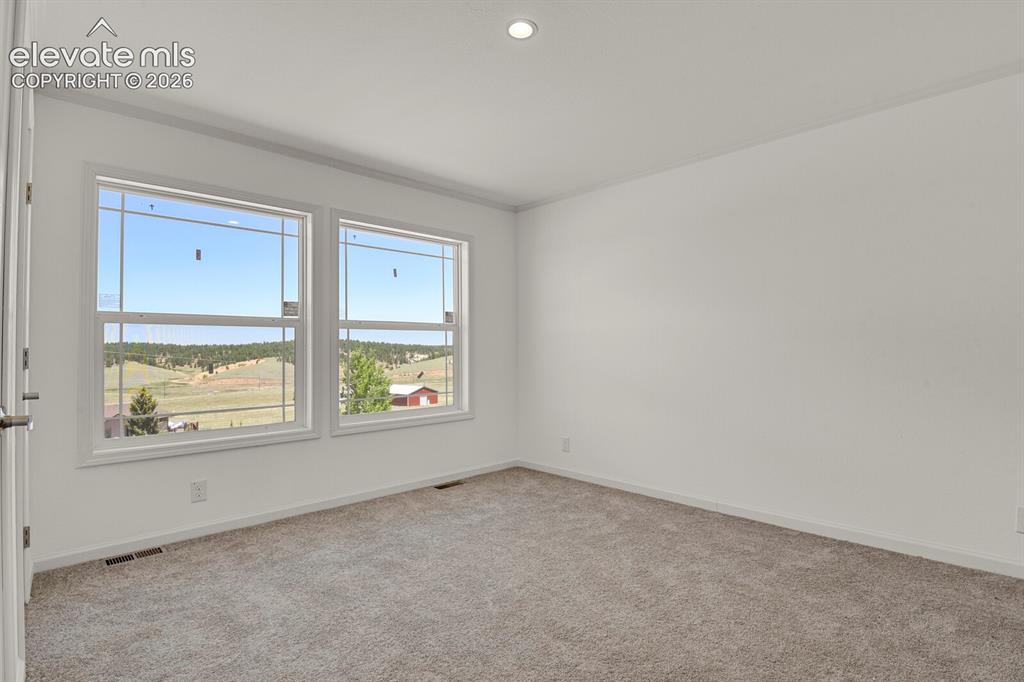 58 Elfin Glen Drive Divide CO 80814