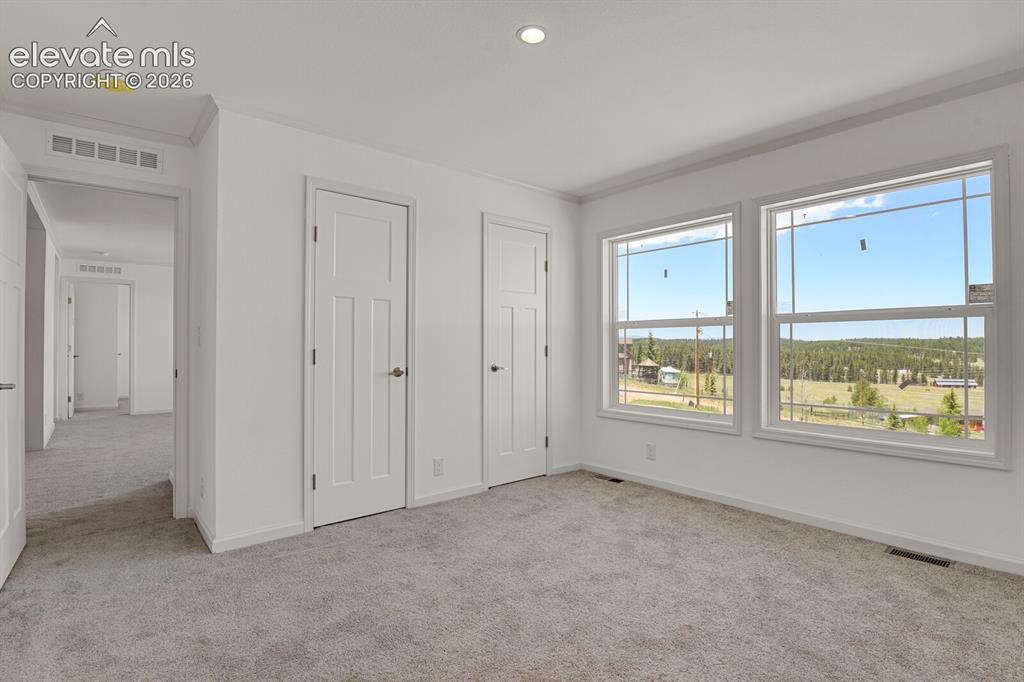 58 Elfin Glen Drive Divide CO 80814