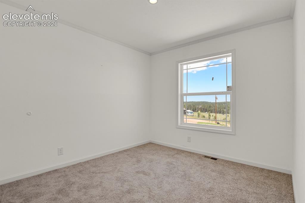 58 Elfin Glen Drive Divide CO 80814