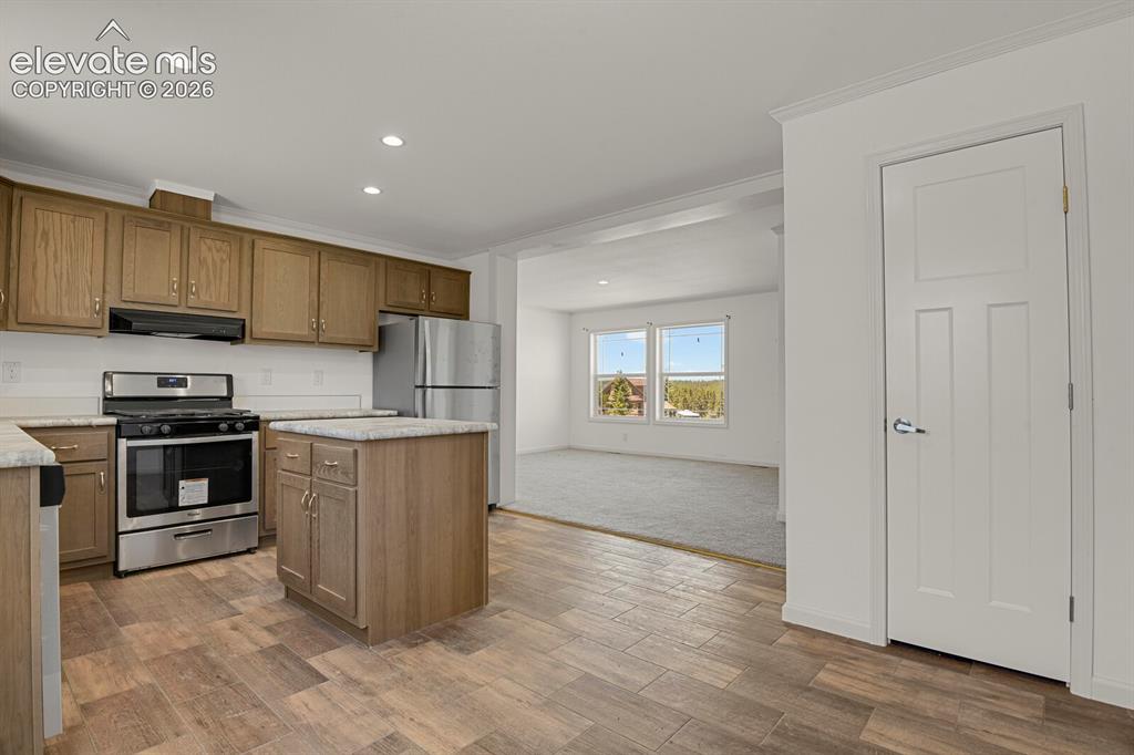 58 Elfin Glen Drive Divide CO 80814