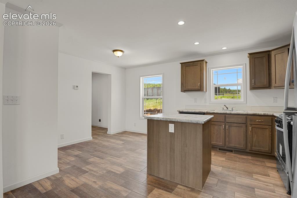 58 Elfin Glen Drive Divide CO 80814