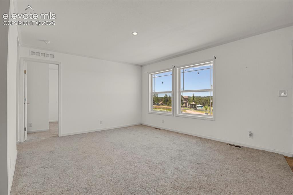 58 Elfin Glen Drive Divide CO 80814