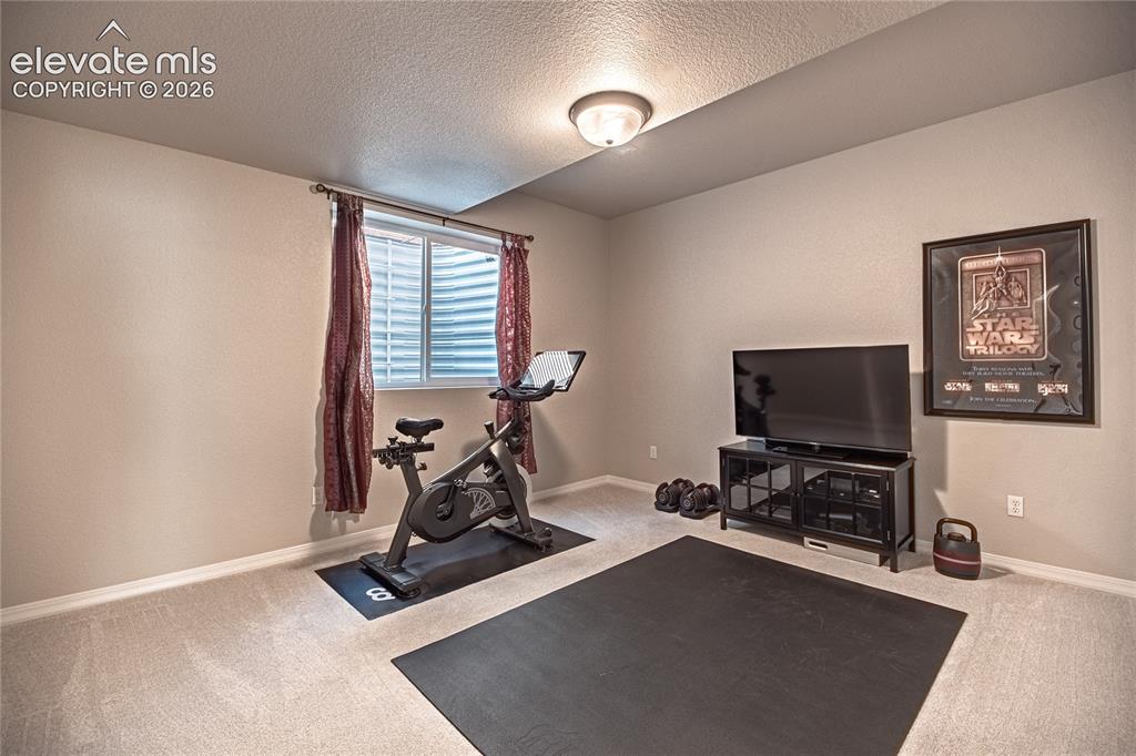 8165 Foxtail Pine Place Colorado Springs CO 80927