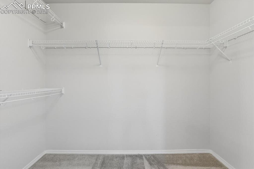 7325 Brush Thorn Lane Colorado Springs CO 80927