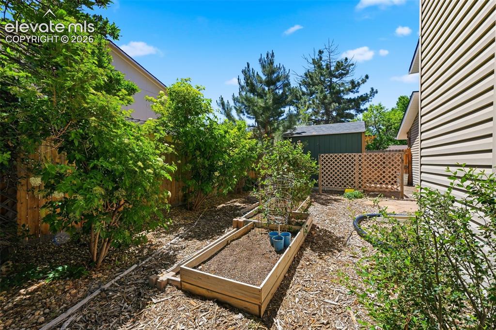 927 Oakwood Drive Castle Rock CO 80104