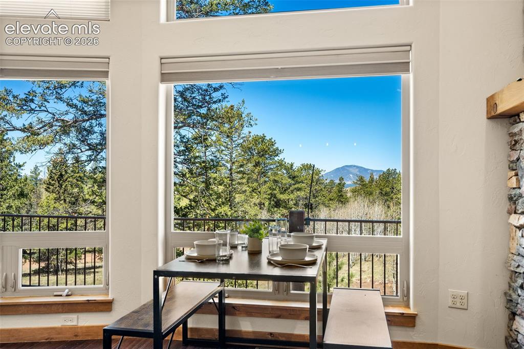 417 Beaver Creek Drive Florissant CO 80816