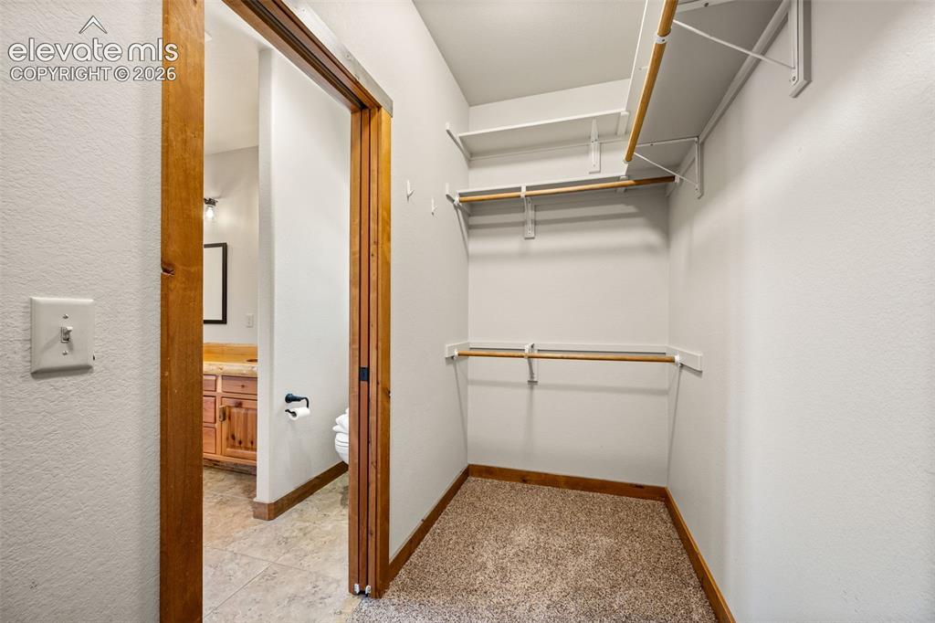 417 Beaver Creek Drive Florissant CO 80816