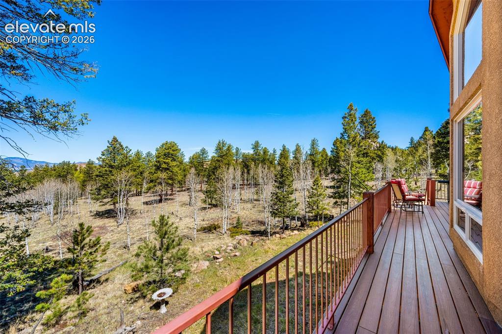 417 Beaver Creek Drive Florissant CO 80816