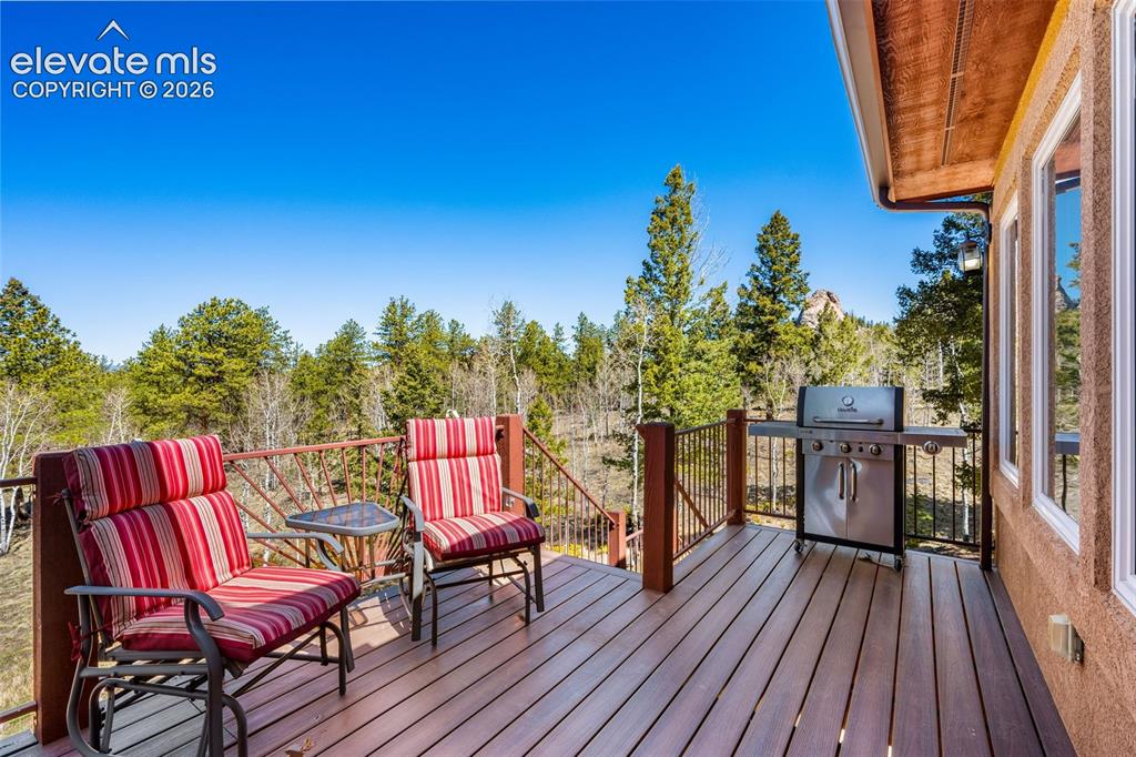417 Beaver Creek Drive Florissant CO 80816