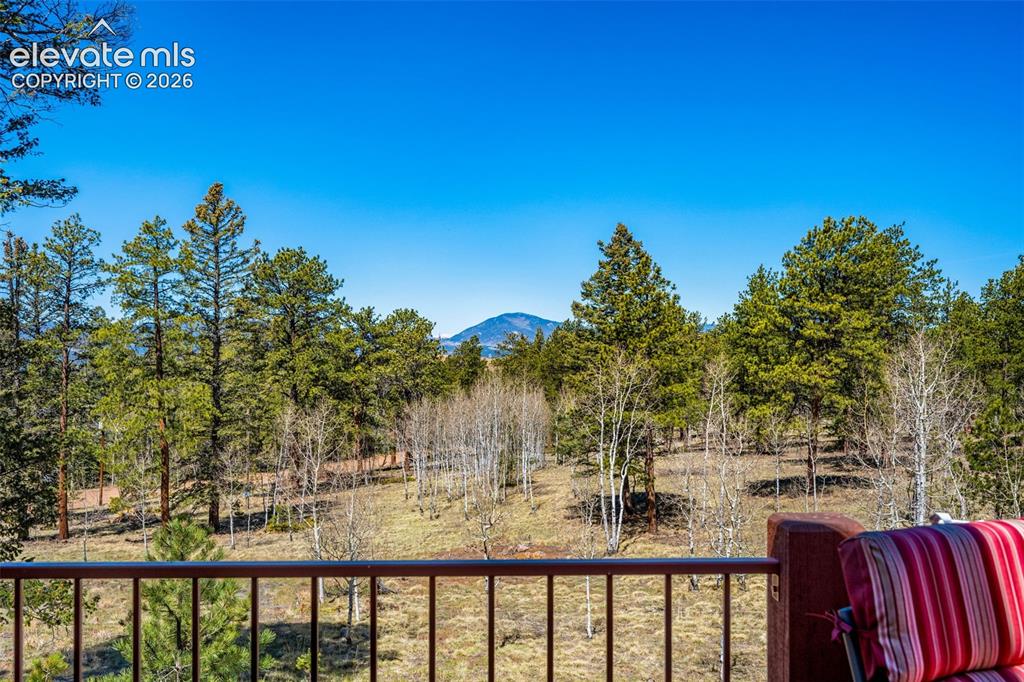 417 Beaver Creek Drive Florissant CO 80816