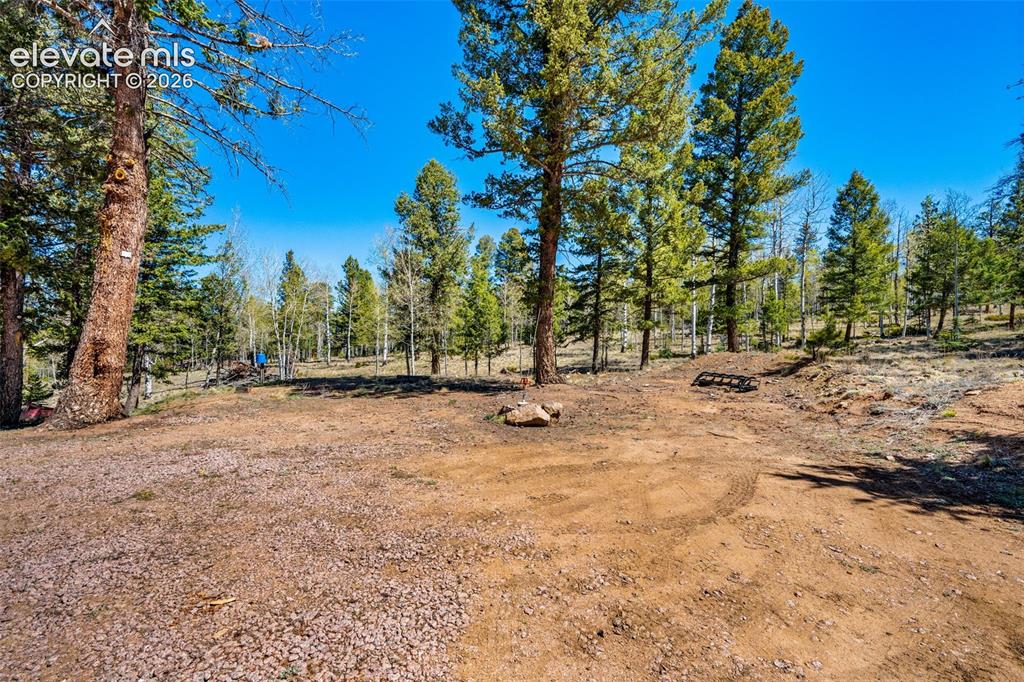 417 Beaver Creek Drive Florissant CO 80816