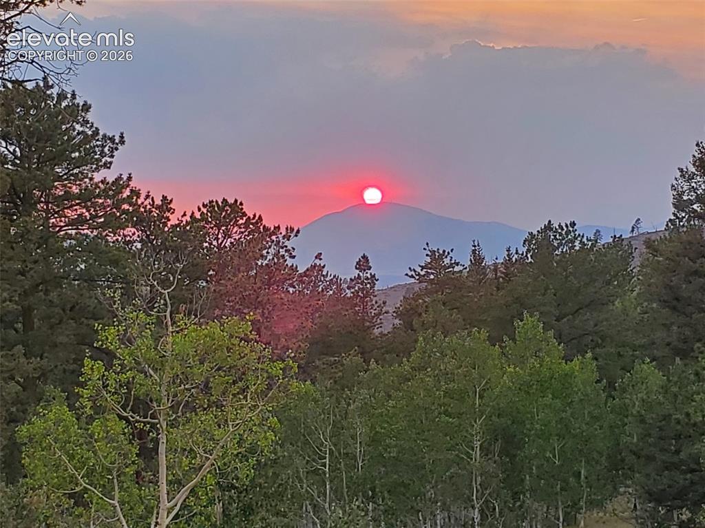 417 Beaver Creek Drive Florissant CO 80816