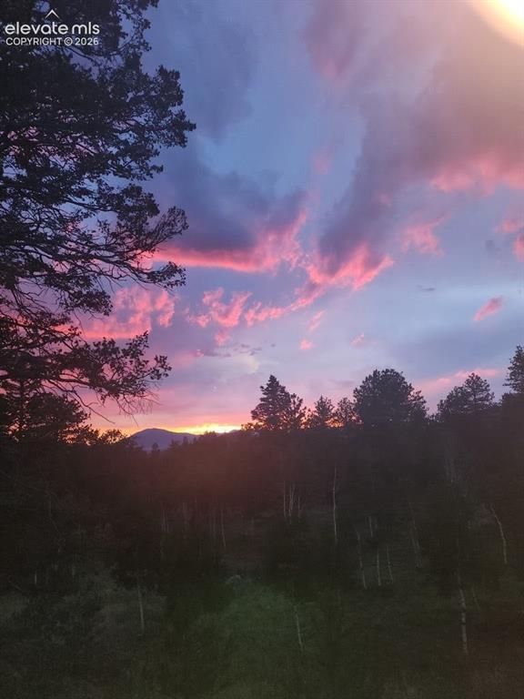 417 Beaver Creek Drive Florissant CO 80816