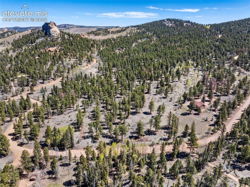 417 Beaver Creek Drive Lake George CO 80827