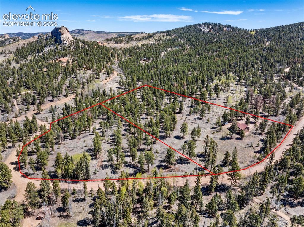 417 Beaver Creek Drive Florissant CO 80816