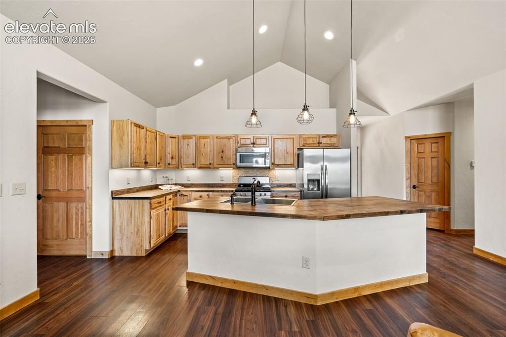 417 Beaver Creek Drive Florissant CO 80816