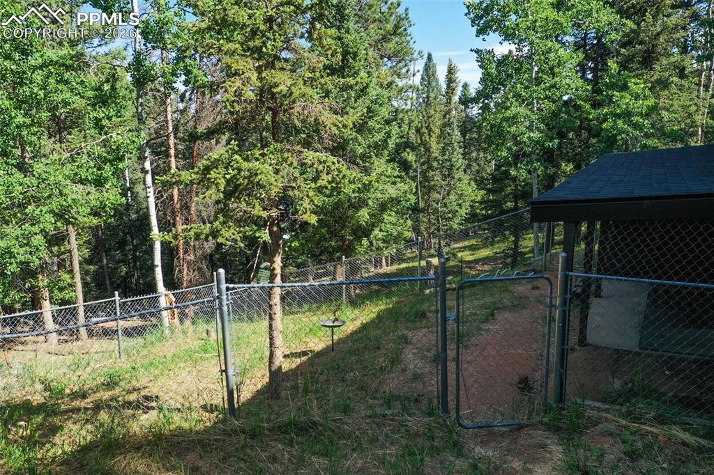 377 Ridge Road Divide CO 80814
