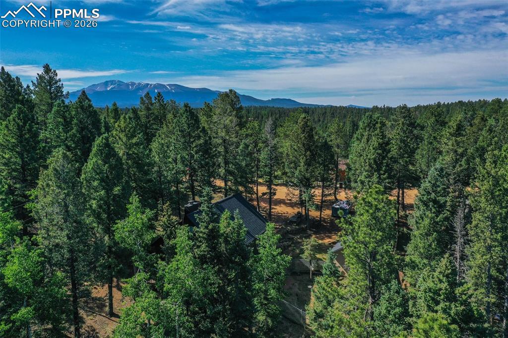 377 Ridge Road Divide CO 80814