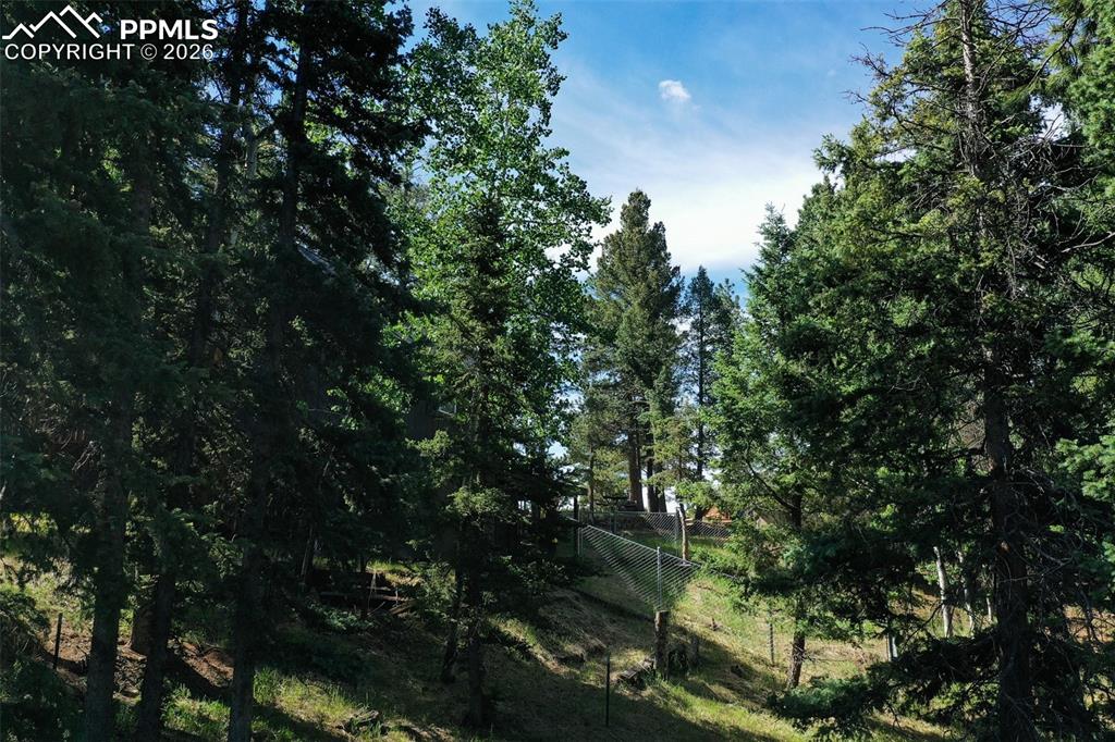 377 Ridge Road Divide CO 80814