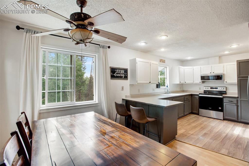 377 Ridge Road Divide CO 80814