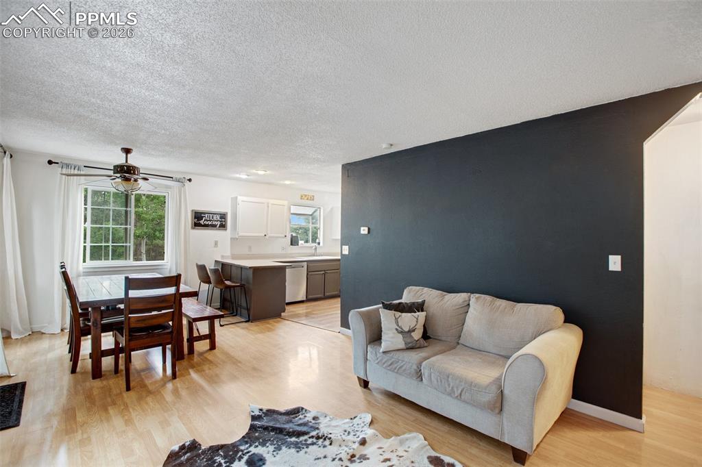 377 Ridge Road Divide CO 80814