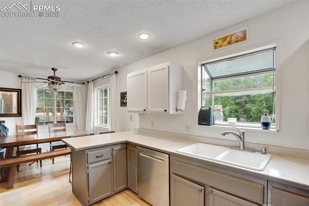 377 Ridge Road Divide CO 80814