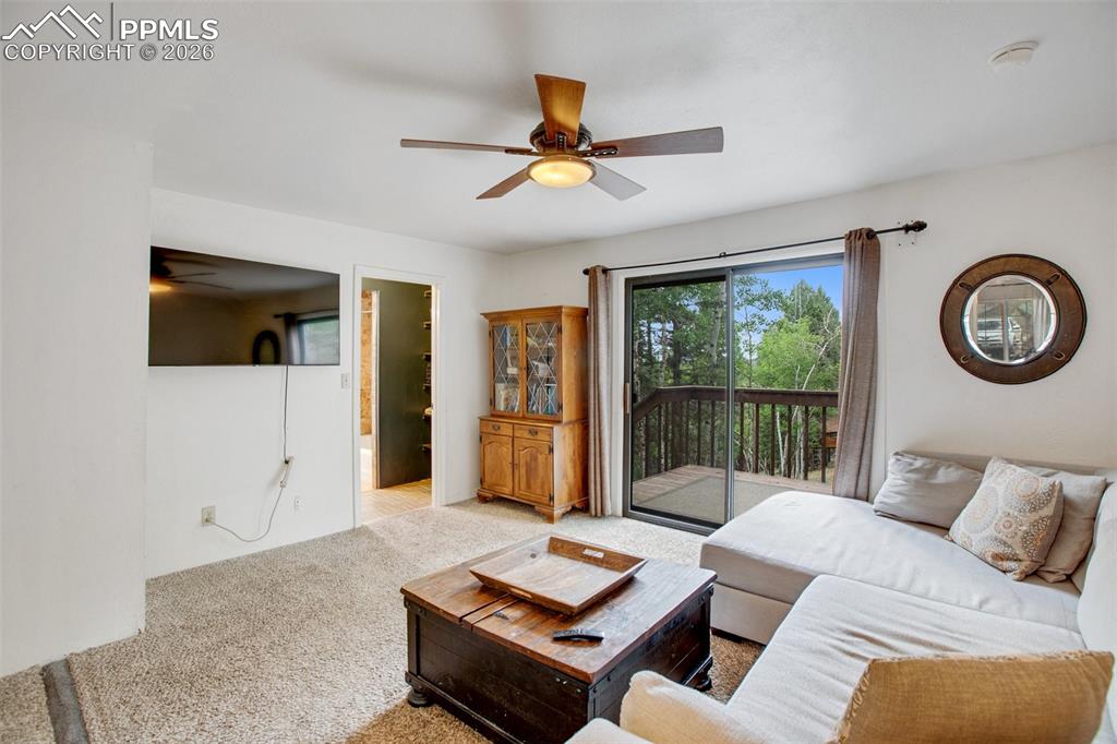 377 Ridge Road Divide CO 80814