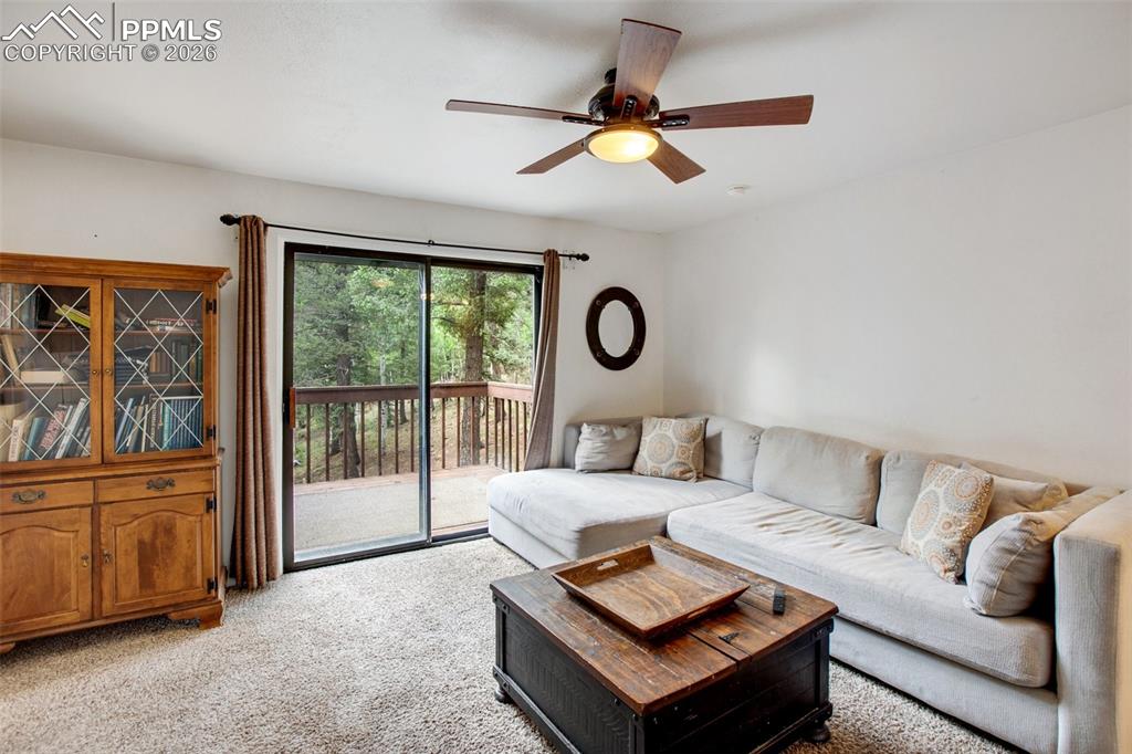 377 Ridge Road Divide CO 80814