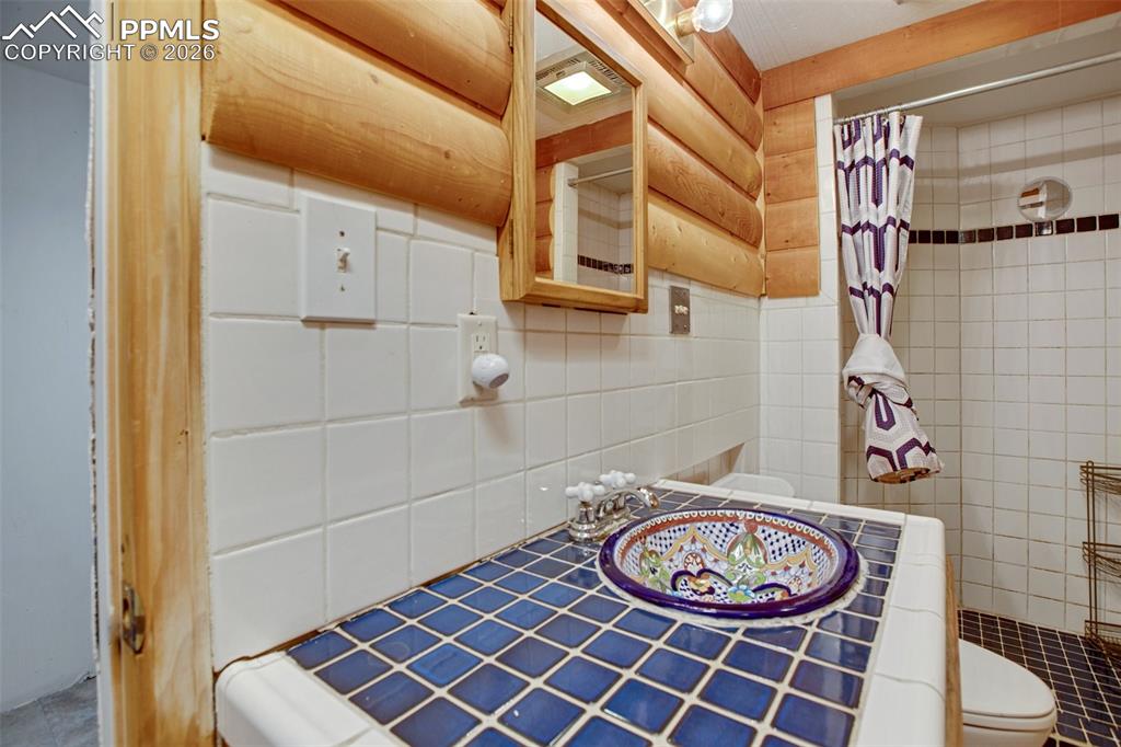 377 Ridge Road Divide CO 80814