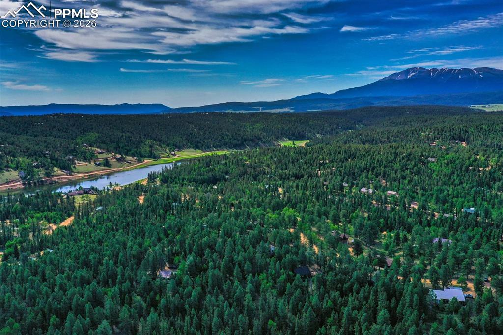 377 Ridge Road Divide CO 80814