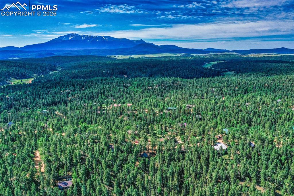 377 Ridge Road Divide CO 80814
