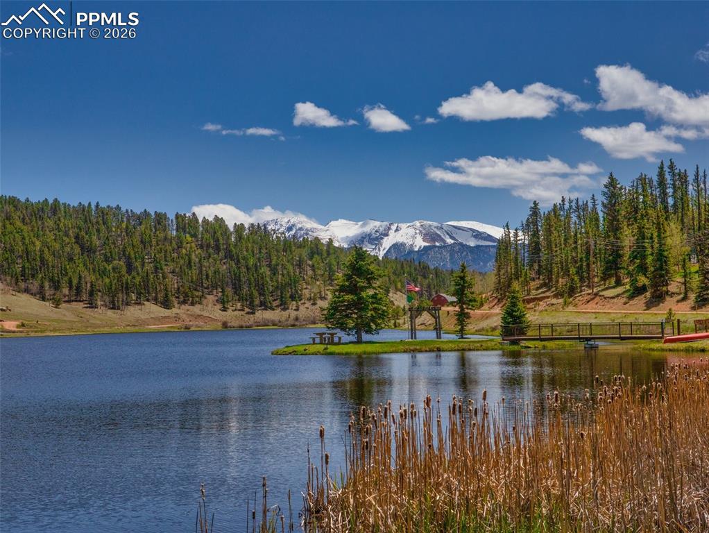 377 Ridge Road Divide CO 80814