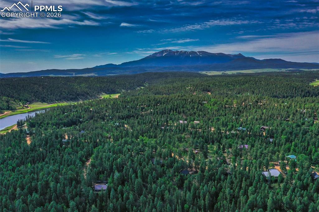 377 Ridge Road Divide CO 80814