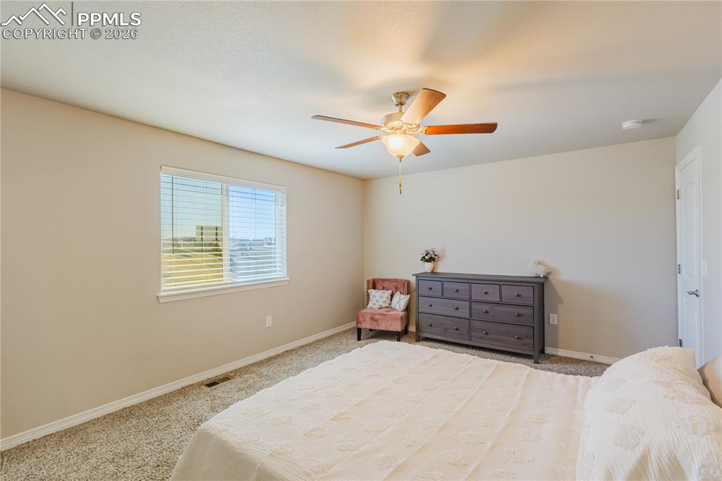 6149 Mumford Drive Colorado Springs CO 80925